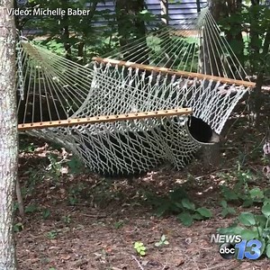 2.6M views · 4.6K reactions | Talk about making yourself at home! Michelle Baber shared this video of a bear hanging out in her hammock in Asheville. Share your bear photos and videos with us here: wlos.com/chimein/nc-wildlife | WLOS ABC 13 | Facebook