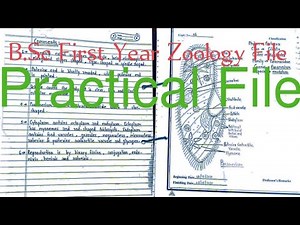 B.Sc First Year Zoology Practical File Of Student Sudhanshu Kashyap||Biology Concept With Animation