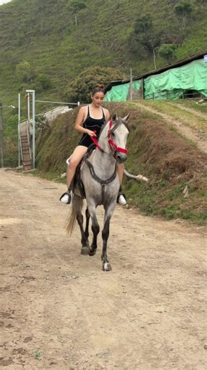 Don Alejandro Del Progreso❤️ #caballocriollocolombiano #paratiiiiiiiiiiiiiiiiiiiiiiiiiiiiiii
