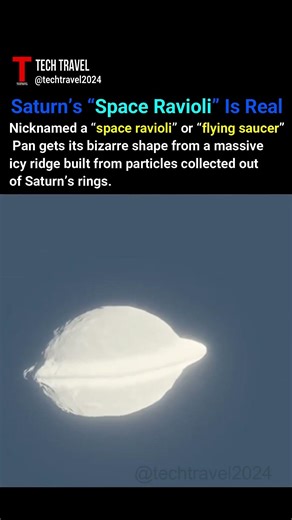 This moon (Pan) orbits through Saturn's rings. #space #astronomy #astrophysics #newshorts