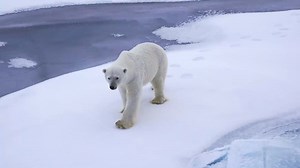 Join us on an Arctic expedition! Watch the film about when our researchers went to the Arctic to investigate how the Arctic Ocean is changing due to climate change: https://lnu.se/en/meet-linnaeus-university/current/news/2023/watch-the-film-about-the-expedition-to-arctic-with--linnaeus-universitys-researchers/ | Linnaeus University, Sweden | Facebook