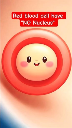 Do You Know RBCs Have NO Nucleus? Why? 🤯