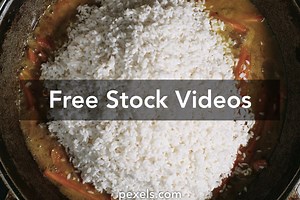 Rice Videos, Download The BEST Free 4k Stock Video Footage & Rice HD Video Clips