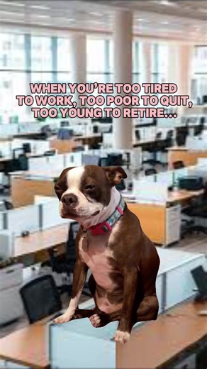 Wine Choices for Millennials: A Journey Through Taste