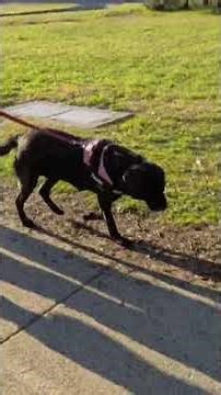 Tranquil Morning Drive Ep7