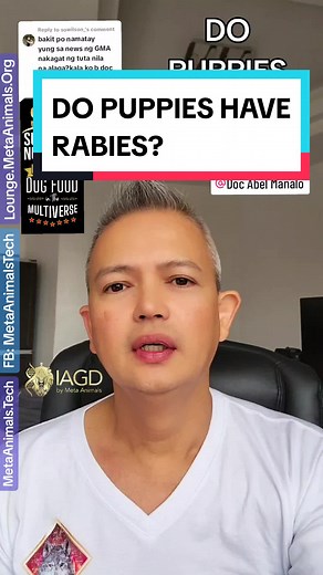 DO PUPPIES HAVE RABIES? Misconceptions and Facts Explained
