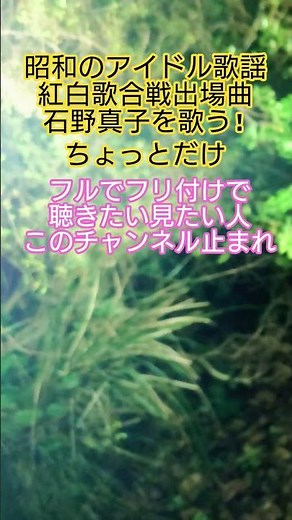#昭和のアイドル歌謡 #70年代アイドル #懐メロ #昭和のポップス歌謡 #石野真子 #80年代歌謡曲 #紅白歌合戦出場曲 #藤慎一郎 #スター誕生 #想い出のメロディー #昭和歌謡カバー #アカペラ