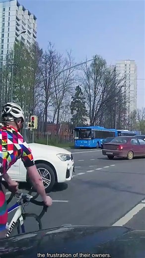 14K views · 45 reactions | Viral Traffic Fails! | Drew Dirksen | Facebook