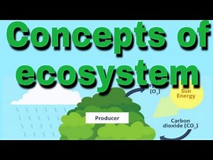 Concepts of ecosystem, Definition, structure, function B.Sc Final paper III unit II