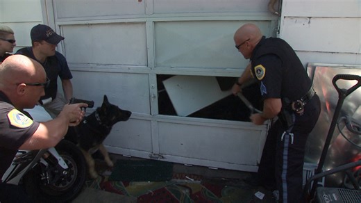 Watch Cops: Season 27, Episode 21, "On Thin Ice" Online - Fox Nation