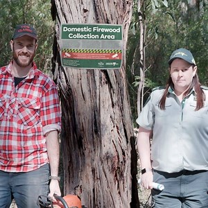 4.5K views · 52 reactions | The spring firewood collection season opens today, so Matt and Loz are back to help ensure everyone’s doing the right thing  Collection area maps are available online: ffm.vic.gov.au/firewood Firewood can be collected for domestic use in designated areas of some forests and parks, no permit needed. | Forest Fire Management Victoria | Facebook