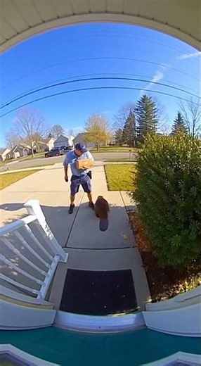 Giant Beaver Ambushes Mail Carrier!