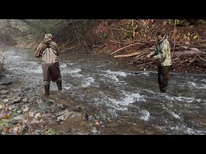 Trout Fishing Hidden Appalachian Streams in Pennsylvania