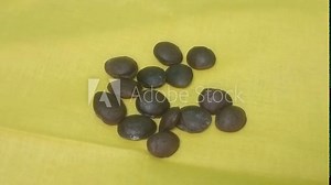 Plukenetia volubilis, commonly known as sacha inchi, sacha peanut, mountain peanut, Inca nut or Inca-peanut seeds close-up on white background