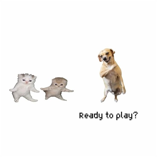 Cats or dogs 🤔? (Song: FUNK READY TO PLAY) #cat #dog #phonk #phonkmusic