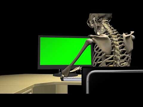 Funny Skeleton - Working At Computer - 4 Royalty Free Loops