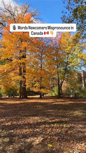 Canada Dreamers 🇨🇦 | Think you say “Toronto” right? Think again 😏 Here’s how Canadians really say it, and a few more everyday words you’ll hear differently. 1.... | Instagram