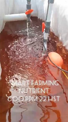 22 Hst Hidroponik system dft (18 Maret 2026)