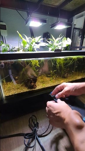 Modding the Seachem Tidals to cover the skimmer #seachem #tidal #mod #shorts