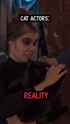 Everyone at RE is a professional (even the cats)