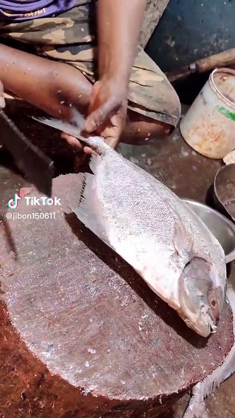 Mastering Fish Filleting Techniques for Fresh Catch