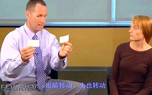 Two-Target VOR Demonstration