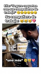 816K views · 228K reactions | La michi quiere besito  #reels #meme #humor #memes #gato #cat #michi #gatos #cats #michis #catlover #catsvideo #reelsvideo #reelsinstagram #reelsfacebook #random #gatoslindos #gatosdivertidos | Pato Chamoy | Facebook