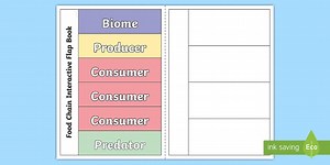 Food Chain Interactive Flap Book