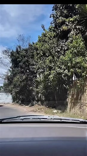 Segunda parte del recorrido llegando a la Aldea El Durazno, Santa María Xalapan, Saliendo desde Jalapa. #turisteando #jalapaadventure #jalapaguatemala🇬🇹 #aldeaeldurazno😊🥹 #conocejalapa