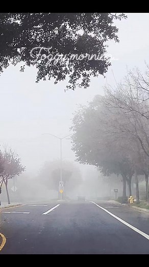 Foggy morning.. be careful.. turn lights on | Zander Michaels