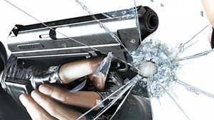 Resident Evil: The Darkside Chronicles (Wii)