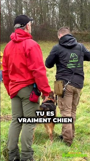 Améliore l'apprentissage de la MARCHE EN LAISSE avec ton chien grâce à ces conseils 🐶