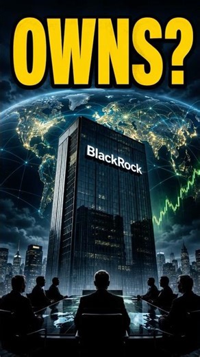 BlackRock The Company That Owns the World