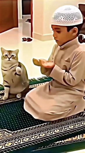 Islam Talk on Instagram‎: "The Prophet ﷺ said: “A man saw a dog eating mud from thirst, so he took his shoe, filled it with water, and gave the dog a drink. Allah thanked him for that deed and forgave him.” (Sahih al-Bukhari, 3321; Sahih Muslim, 2244) Then the companions asked, “O Messenger of Allah, is there a reward for us in serving animals?” The Prophet ﷺ replied: “There is a reward for serving any living being.” (Sahih al-Bukhari, 2363; Sahih Muslim, 2244)"‎