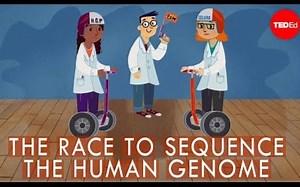 【Ted-ED】人类基因测序的竞赛 The Race To Sequence The Human Genome