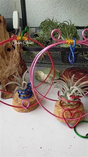 6.2K views · 128 reactions | These 2-in-1 Airplant holders are...
