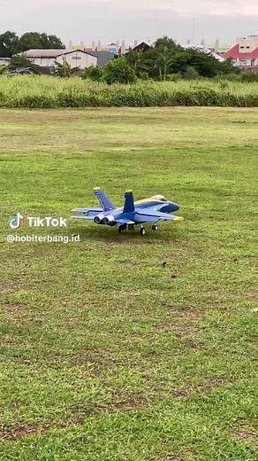 Hobi Terbang on TikTok