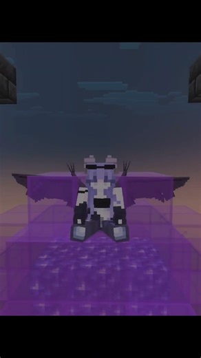 Sorry! #minecraft #WAWIV #whyareweinvirginia #mcrp