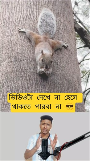 Try Not To Laugh Challenge!