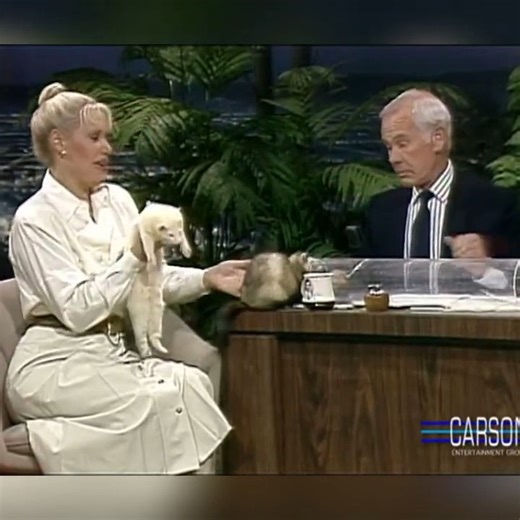 Joan Embery Visits with Two Ferrets Apr 1986 | Funny Talk Show 70s 80s