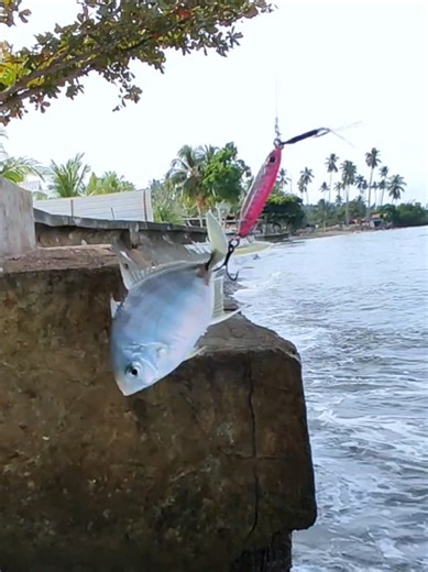 Fishing the Philippine Coastal Areas: An Adventurous Experience