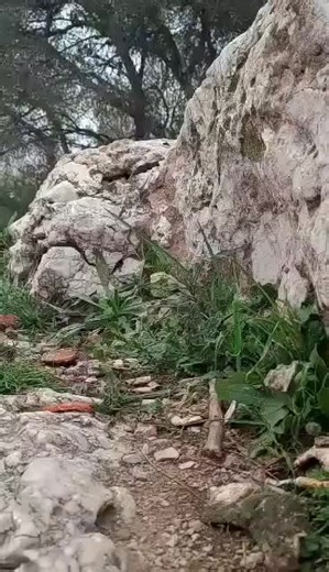 1/10 shafty 3boss#rc #crawler #rccrawler #rccar #3dprinting