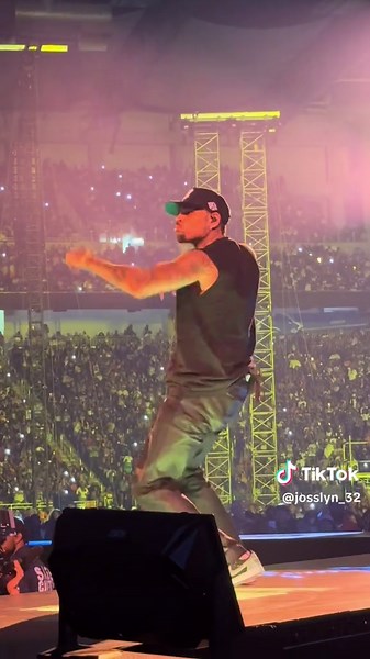 Chris Brown Live Performance in Detroit: