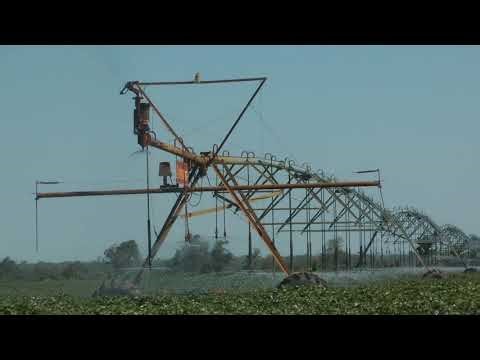 The Beauty of a 500-Acre Circle: Half-Mile Pivot Irrigation Explained