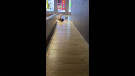 Pet dog calmly rides electric toy car past shops