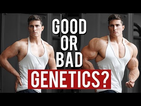 How Good are your Genetics for Muscle Gain | Vitruvian Model of Genetics