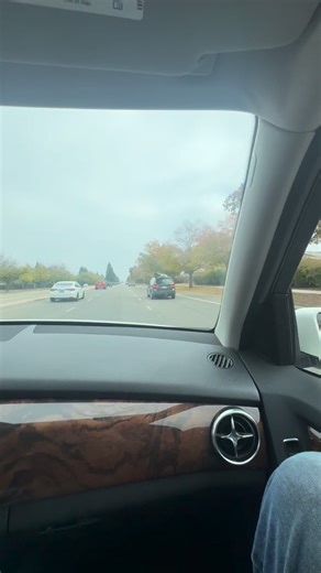 #lowes #funny #cars #driving #hauling | Shadetreemotors