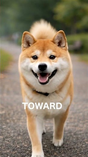 「TOWARDの意味、こう覚えると【一瞬で】わかる」