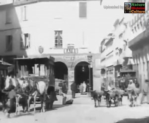 126K views · 2.1K reactions | Alger en 1890-1900 : | Nature Histoire Culture | Facebook