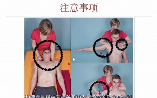 01肌肉功能检查｜总论